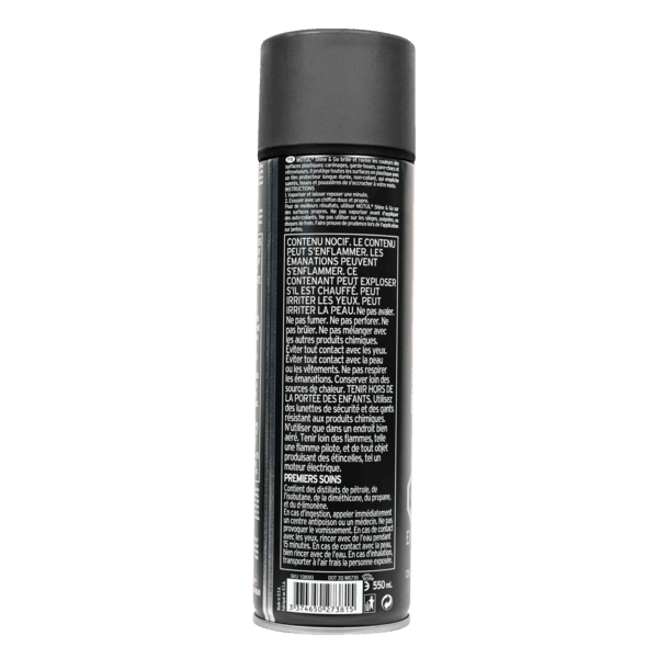 MOTUL MC CARE E10 SHINE & GO SPRAY US